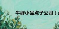 牛群小品點子公司(點子公司)