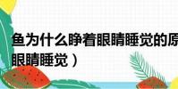 魚為什么睜著眼睛睡覺的原因(魚為什么睜著眼睛睡覺)