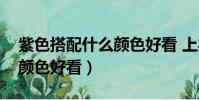 紫色搭配什么顏色好看 上衣(紫色搭配什么顏色好看)