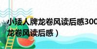小矮人牌龍卷風讀后感300字以上(小矮人牌龍卷風讀后感)