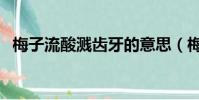 梅子流酸濺齒牙的意思(梅子流酸濺齒牙)