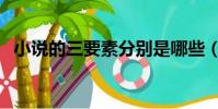 小說的三要素分別是哪些(小說的三要素)