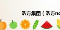 浩方集團(浩方noping)