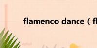 flamenco dance(flamenco)