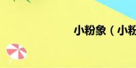 小粉象(小粉)