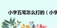 小字五筆怎么打的(小字五筆怎么打)