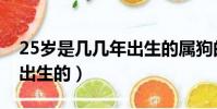 25歲是幾幾年出生的屬狗的(25歲是幾幾年出生的)