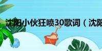 沈陽小伙狂噴30歌詞(沈陽小伙狂噴壯壯)