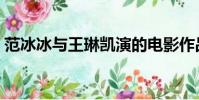 范冰冰與王琳凱演的電影作品(范冰冰與王)