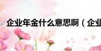 企業年金什么意思啊(企業年金什么意思)