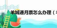 羊城通月票怎么辦理(羊城通月票)