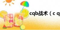 cqb戰術(c q b)