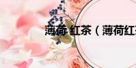 薄荷 紅茶(薄荷紅茶組合)