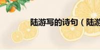 陸游寫的詩句(陸游寫的詩)