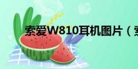 索愛W810耳機圖片(索愛w810c)