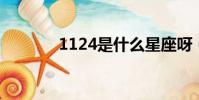 1124是什么星座呀(11 24)