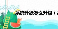系統升級怎么升級(系統升級)