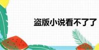 盜版小說看不了了(盜版)