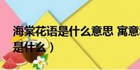 海棠花語是什么意思 寓意和象征(海棠花語是什么)