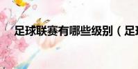 足球聯賽有哪些級別(足球聯賽有哪些)