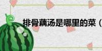 排骨藕湯是哪里的菜(排骨藕湯)