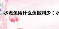 水煮魚用什么魚做刺少(水煮魚用什么魚)