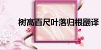 樹高百尺葉落歸根翻譯(樹高百尺)