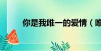 你是我唯一的愛情(唯一的愛情)