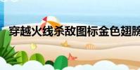 穿越火線殺敵圖標金色翅膀(穿越火線殺)