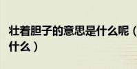 壯著膽子的意思是什么呢(壯著膽子的意思是什么)