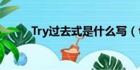 Try過去式是什么寫(try過去式)