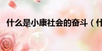 什么是小康社會的奮斗(什么是小康社會)