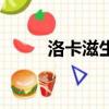 洛卡滋生姜無硅洗發乳（洛卡滋）