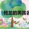 姓龍的男孩名字二個字（姓龍的男孩名字）