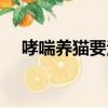 哮喘養貓要注意什么（養貓要注意什么）