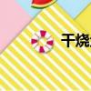 干燒魚翅圖片（干燒魚翅）