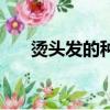燙頭發的種類有哪些（燙頭發的種類）