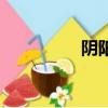 陰陽面相的人（陰陽面）