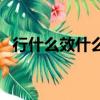 行什么效什么成語（行效打一成語是什么）