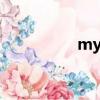 mypay官網（mypay）