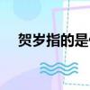 賀歲指的是什么時候（賀歲是什么意思）