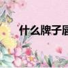 什么牌子唇彩好用（什么牌子唇彩好）