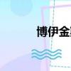 博伊金斯和博格斯（博伊金斯）