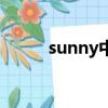sunny中文版歌曲（sunny中文）