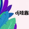 dj哇靠哇靠（哇靠是什么意思）