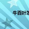牛百葉怎么洗白（牛百葉怎么洗）