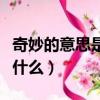 奇妙的意思是什么四年級語文（奇妙的意思是什么）
