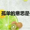 孤單的意思是什么解釋（孤單的意思是什么）
