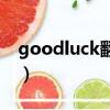 goodluck翻譯是什么意思（goodluck翻譯）