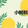 小樹剃刮超高bob頭（bob頭）